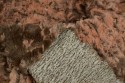 Fausse fourrure bicolore marron beige