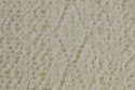 Tricot dévoré lurex beige