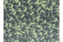 Imprimé plume de Paon vert