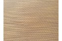 Chanel beige